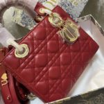 Dior lady my abcdior bag