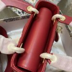 Dior lady my abcdior bag