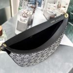 Loewe Luna bag