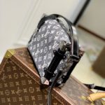 i1668752291_1524_2 Louis Vuitton side trunk bag