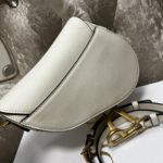 Dior Saddle bag