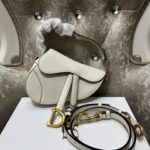 Dior Saddle bag