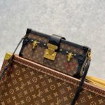 Сумка LOUIS VUITTON PETITE MALLE EAST WEST